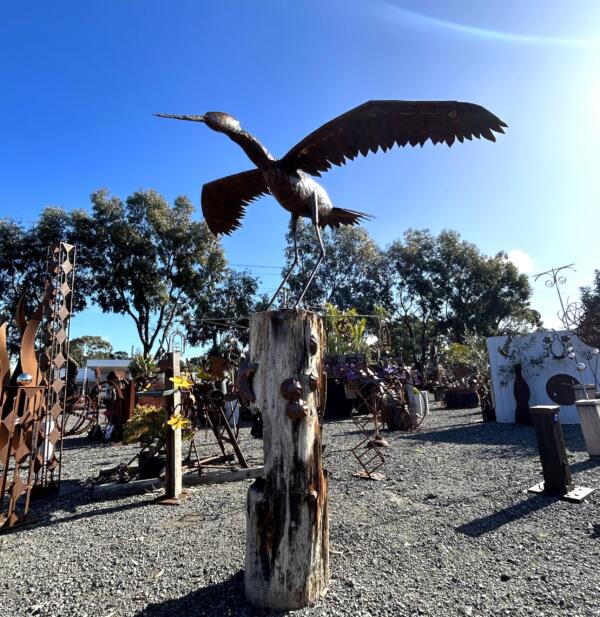 Jabiru On Pier Post4